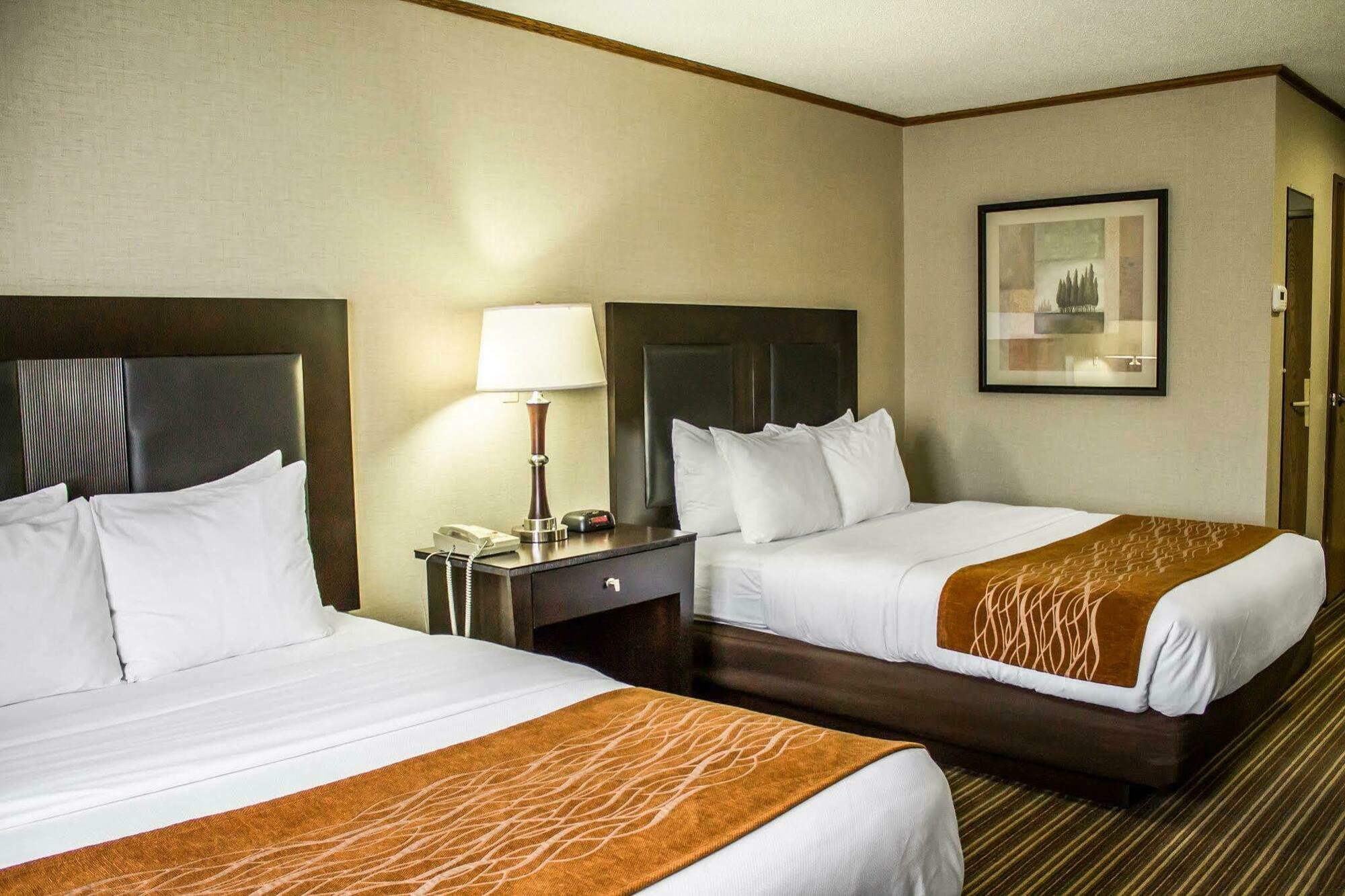 Mini-hôtel Comfort